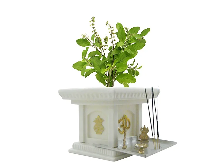 ॥ తులసీకవచమ్ ॥